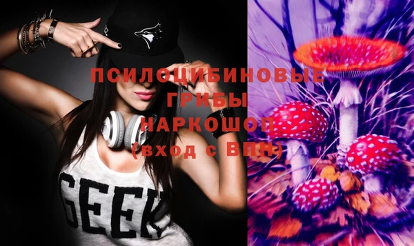 гидропоника Баксан